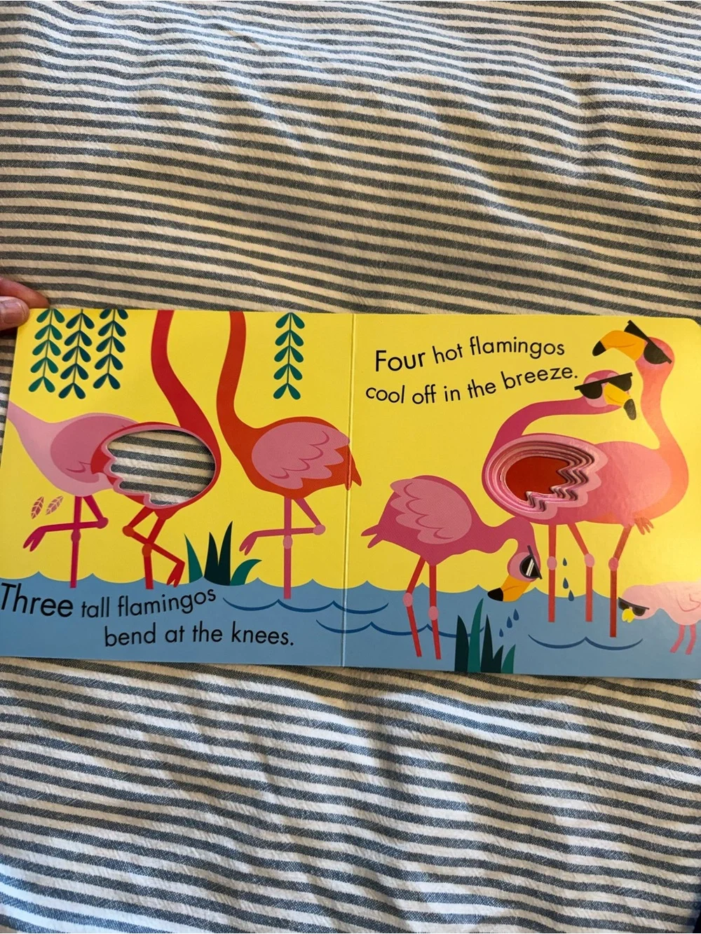 3 board book bundle